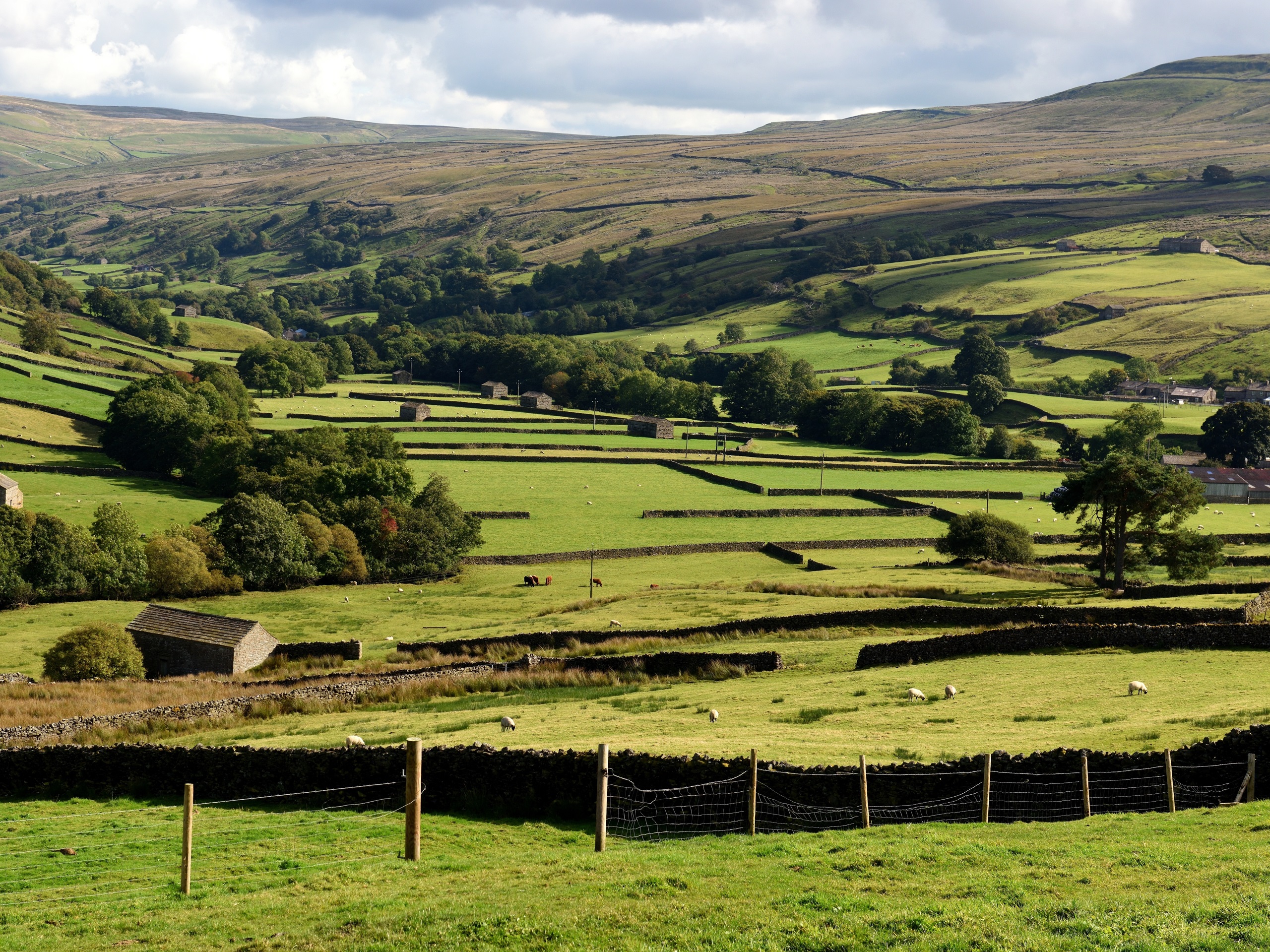 Yorkshire Dales
