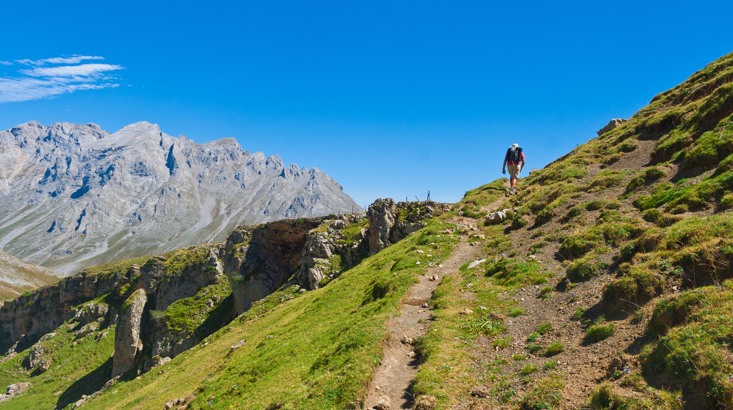 Picos de Europa
