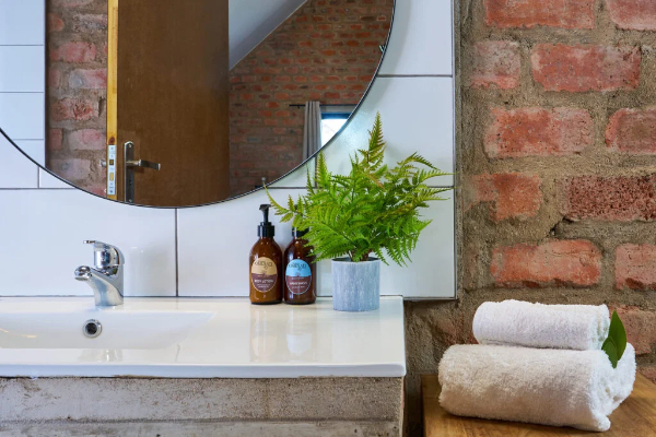 wastafel met plantje en spiegel