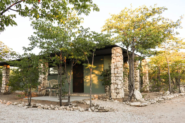 Bungalow met groene kleur en mopane bomen op de voorgrond