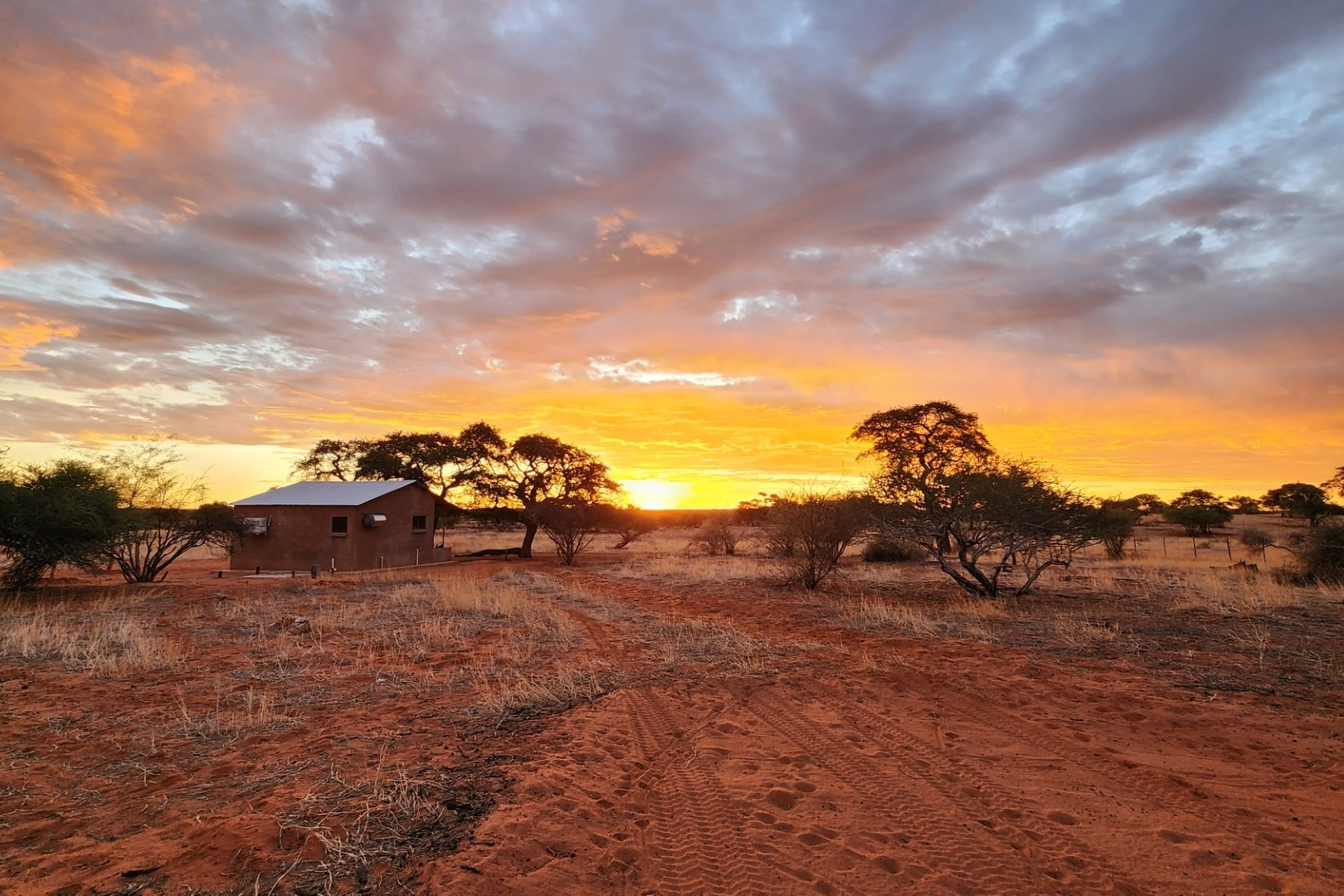 Ondergaande zon bij de Jansen Kalahari Guest Farm