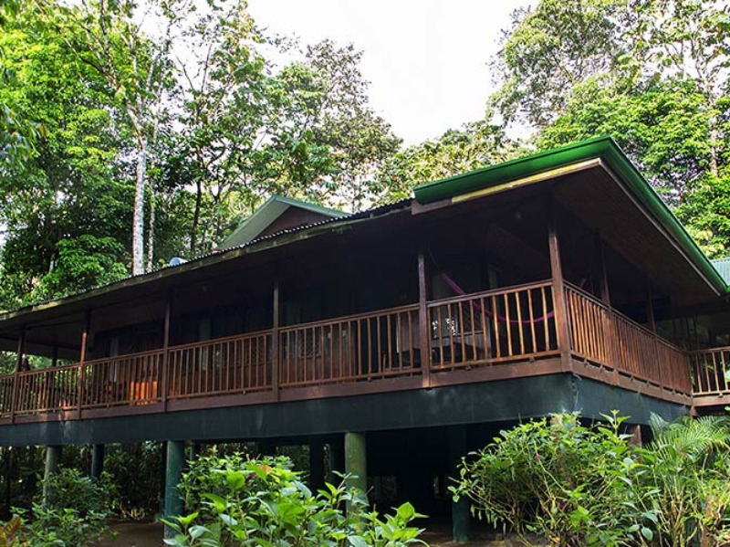Selva Verde Lodge in Puerto Viejo de Sarapiqui