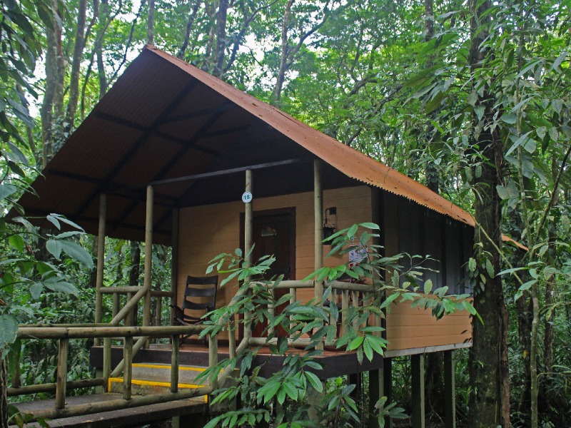 Evergreen Lodge in Tortuguero