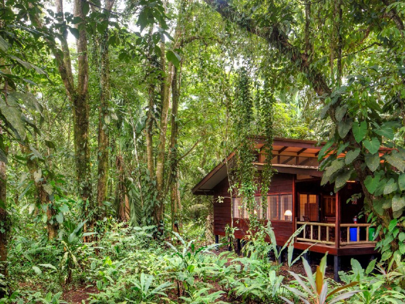Evergreen Lodge in Tortuguero