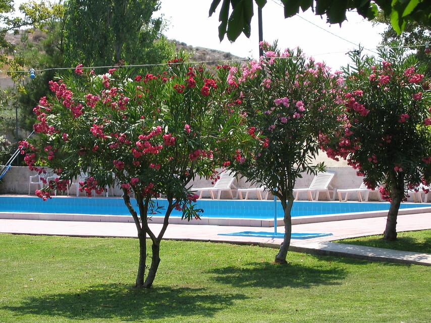 Kreta