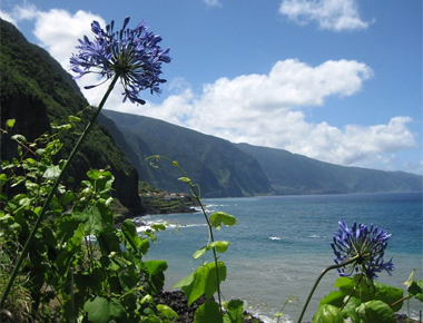 Wandelvakantie Madeira