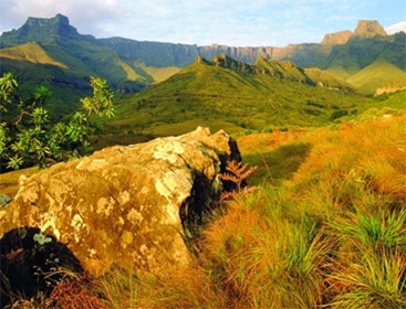 Afrika en Midden-Oosten