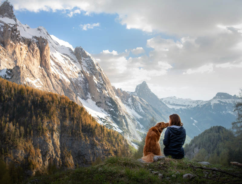 Bergwandelen met je hond