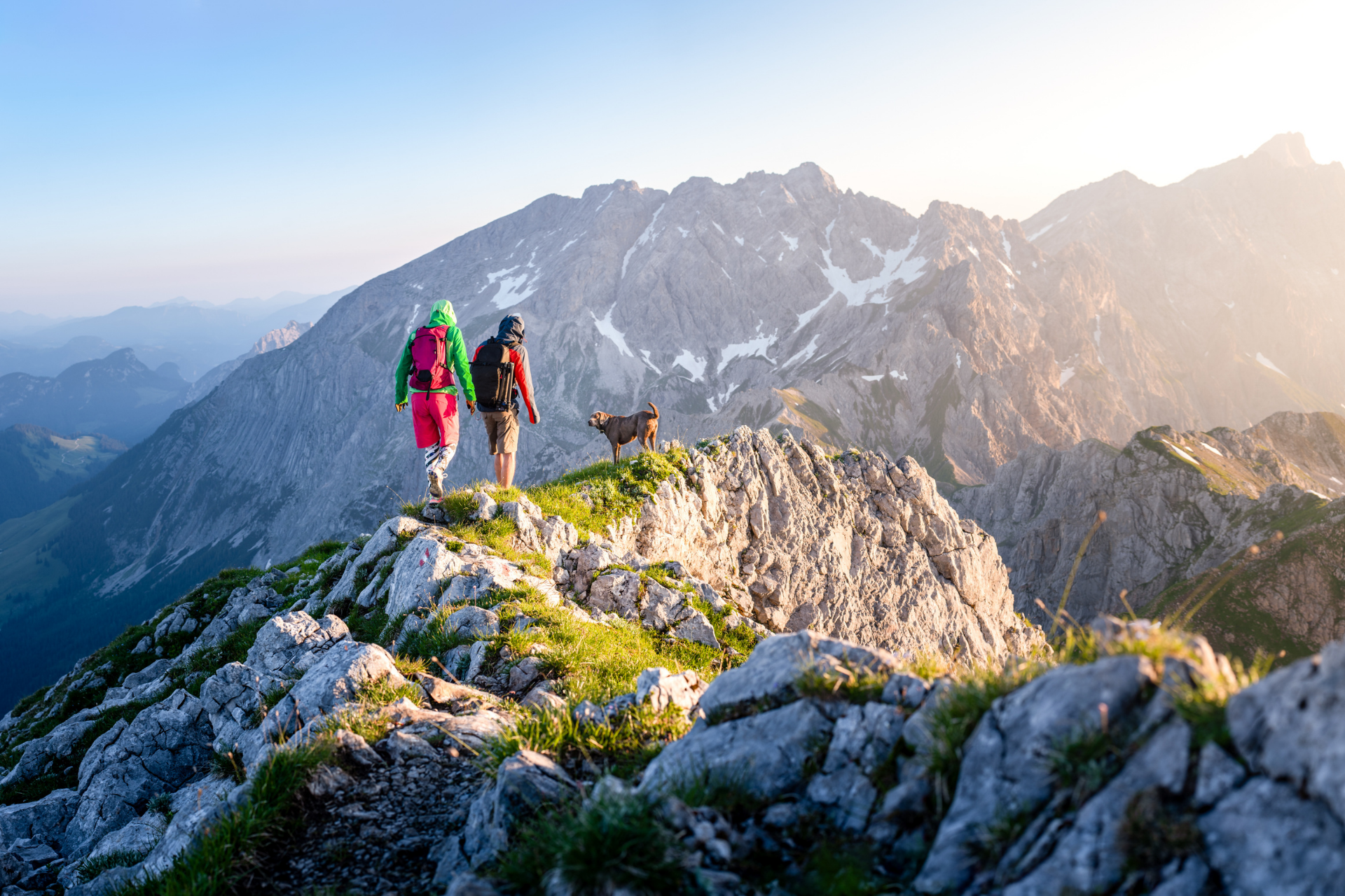 Bergwandelen in Oostenrijk met de hond