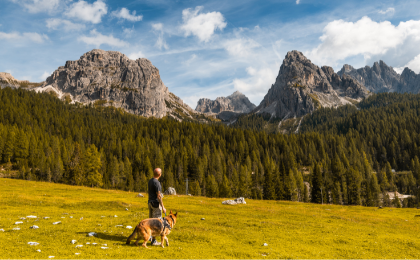 Met de hond in de Dolomieten wandelen