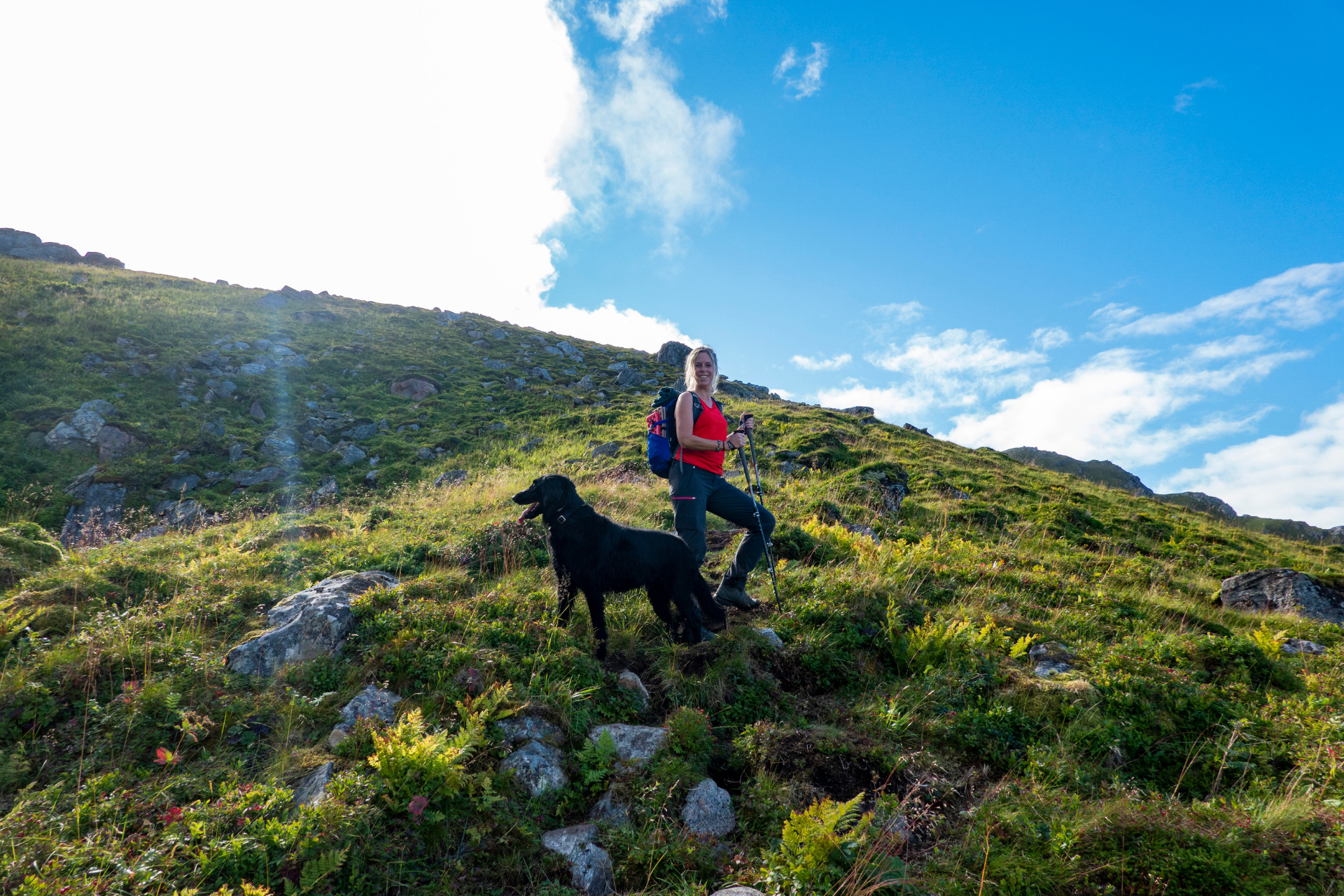 Noorwegen met de hond