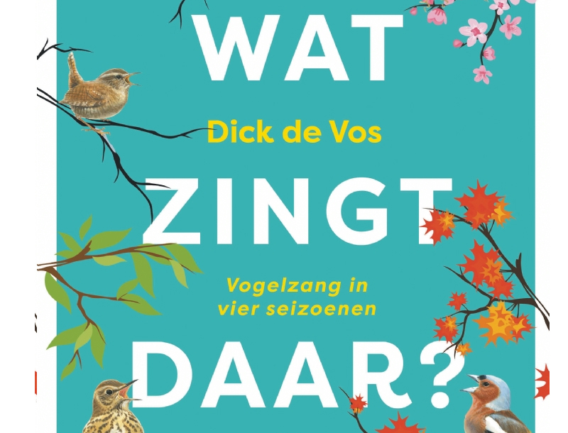 Wat zingt daar?