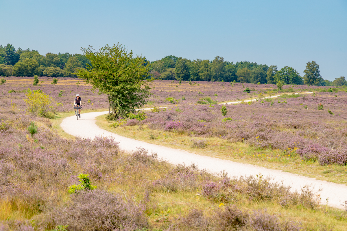 Fietsen in Nederland