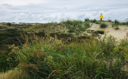 Strandwandeling op Terschelling
