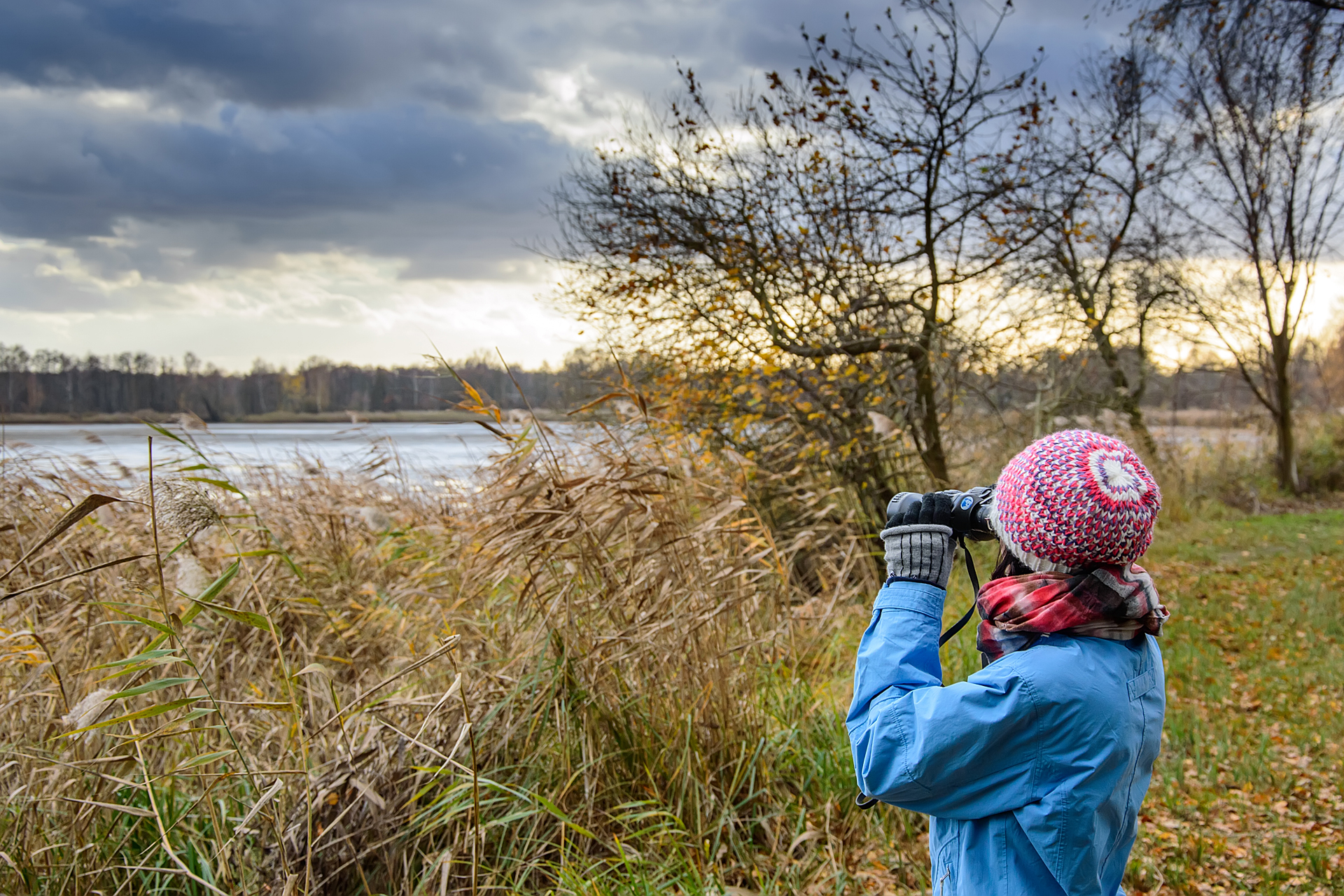 Welke verrekijker kies je?