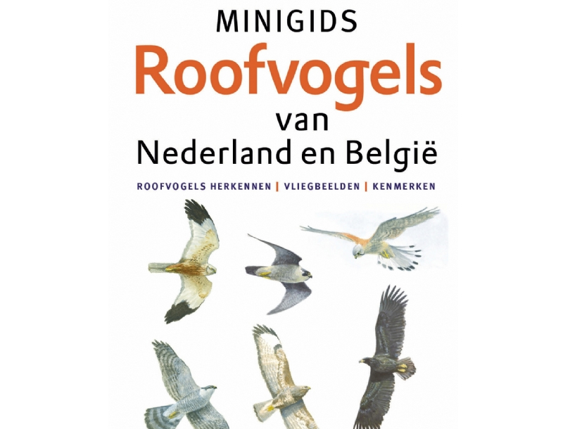 Minigids roofvogels van Nederland en België
