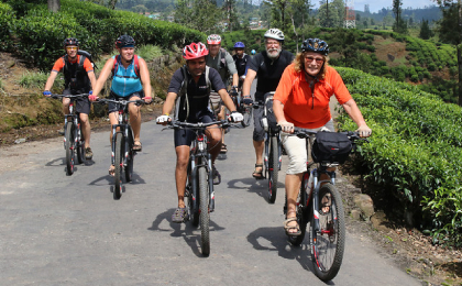 Sri Lanka Fietsen Theevelden