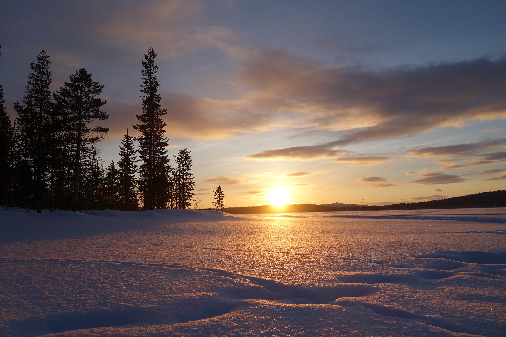 Beste reistijd Zweden
