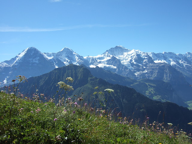 Prachtig uitzicht als je wandelt over de Berner Alpen