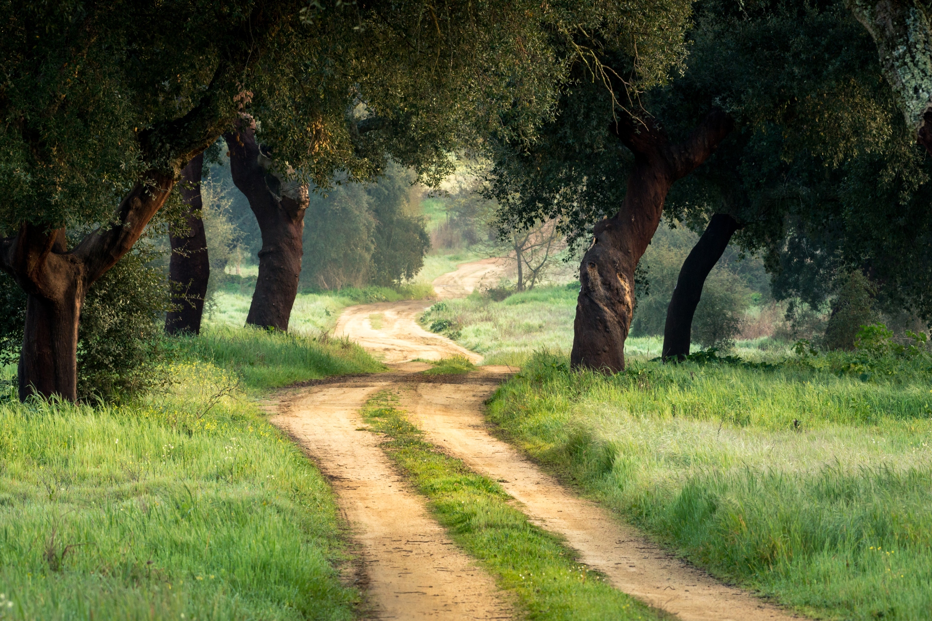 Giving back to nature fonds SNP Natuurreizen