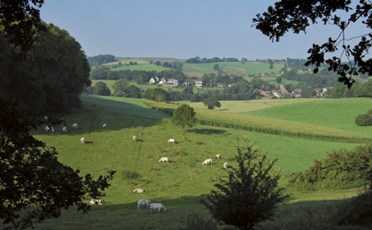 Mooiste fietsroutes België