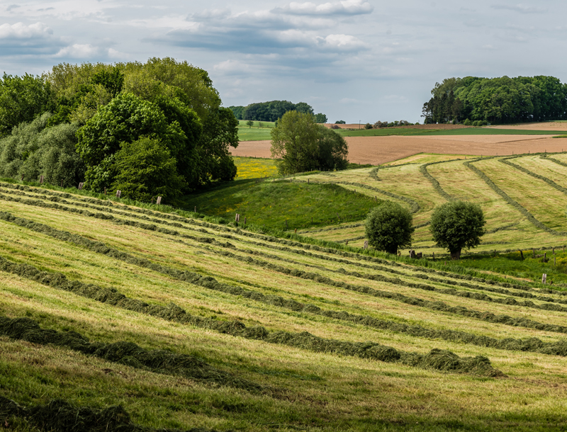 Mooiste fietsroutes België