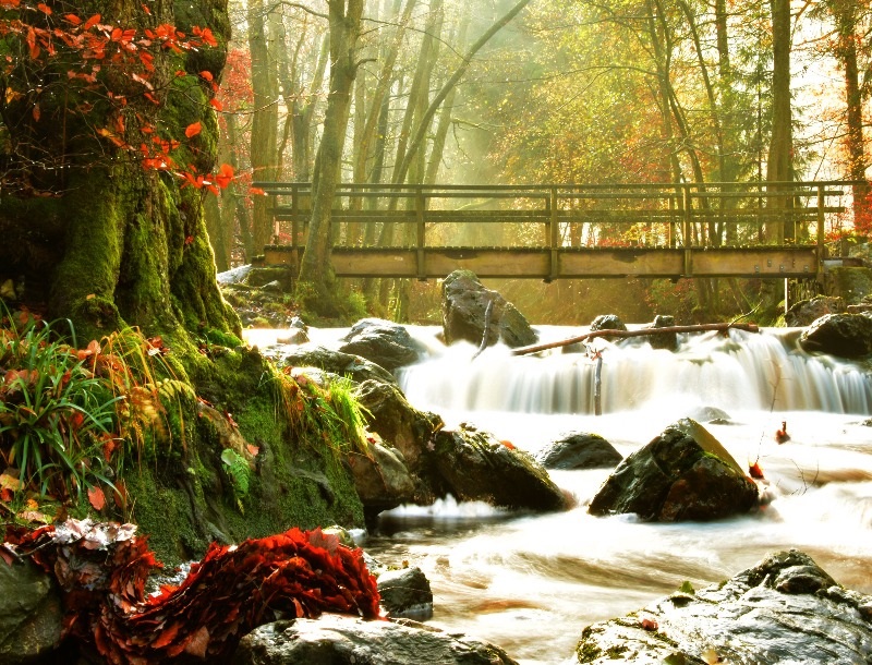 wandelen-ardennen-belgie