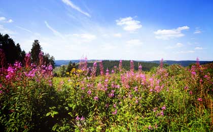 Duitsland Rothaargebirge