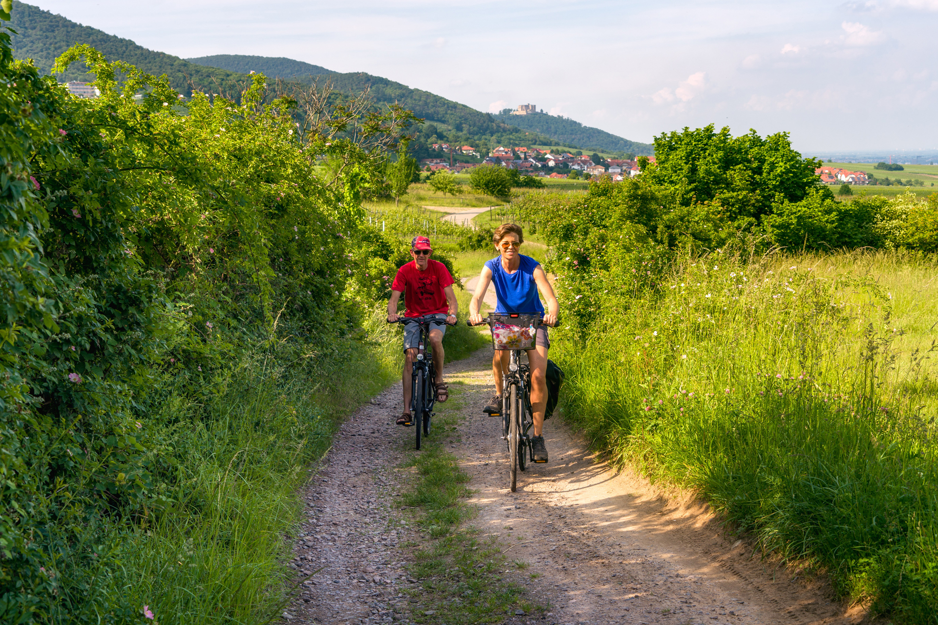 Mooiste fietsroutes Duitsland