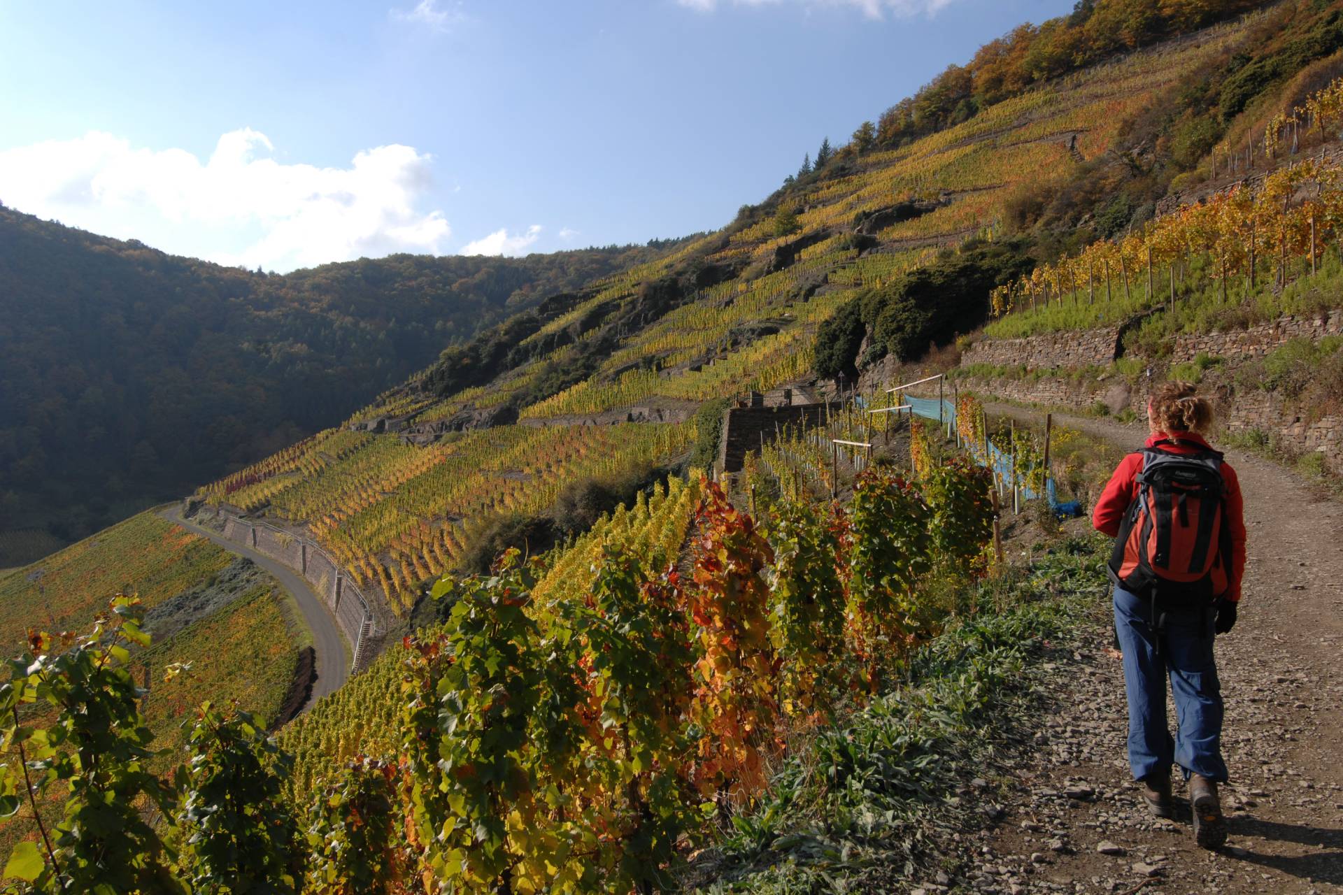 wijnwandelen Duitsland