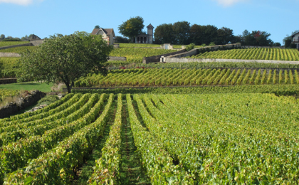 Mooiste wandelgebieden Frankrijk