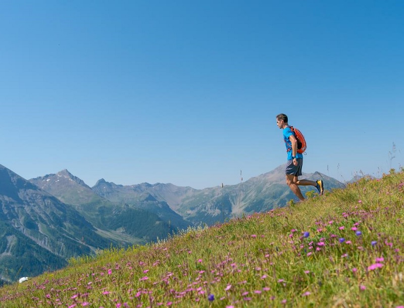 Zuidelijk Franse Alpen 800x610