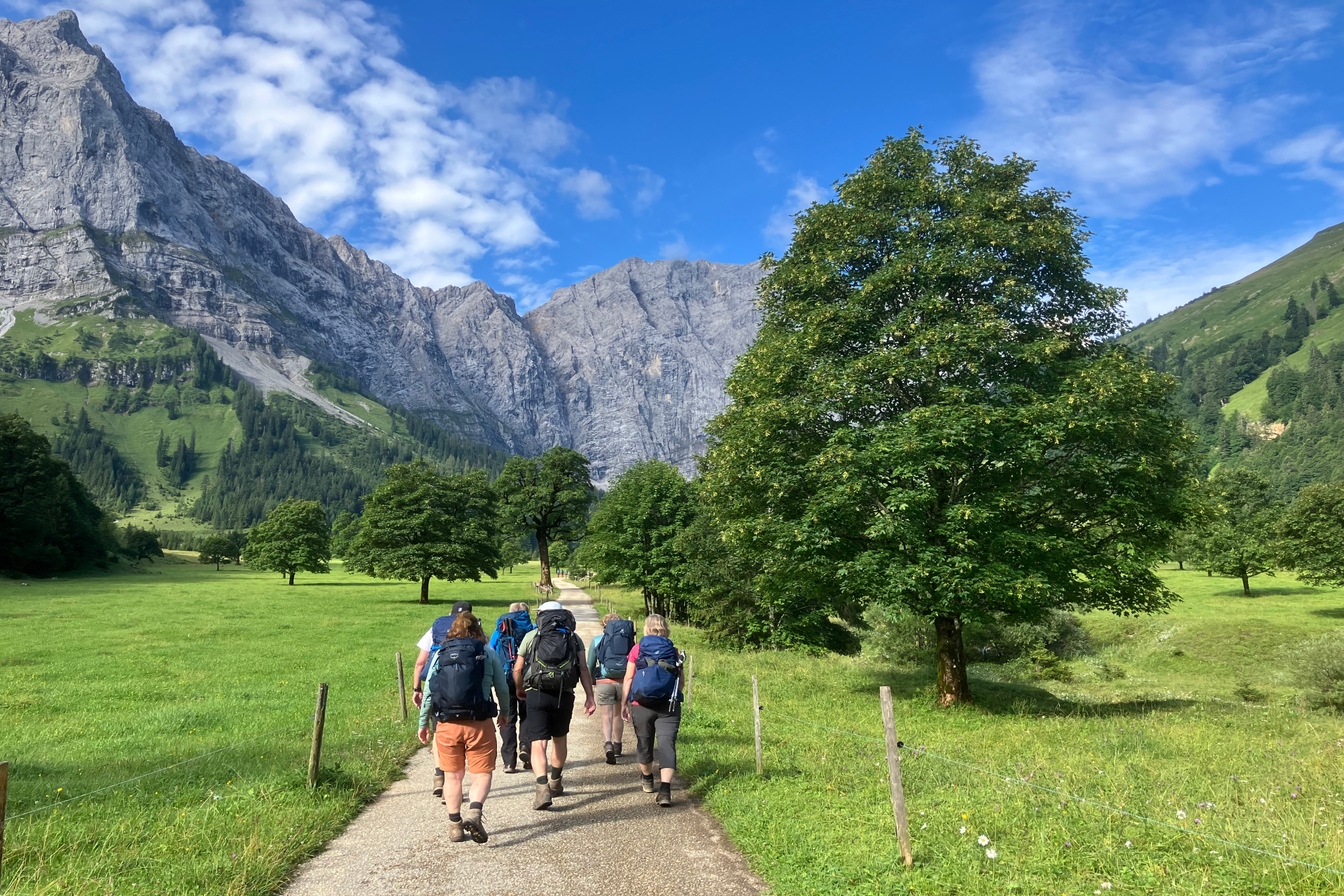 Wandelgroep met rugzak in dal van de Alpen