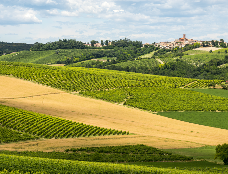 Landschap Piemonte