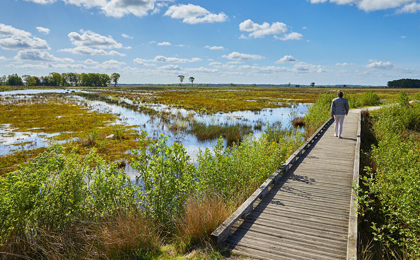  Mooiste wandelgebieden Nederland 