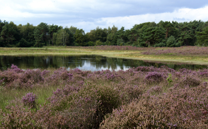  Mooiste wandelgebieden Nederland 