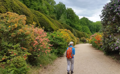  Mooiste wandelgebieden Nederland 