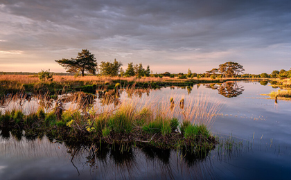  Mooiste wandelgebieden Nederland 