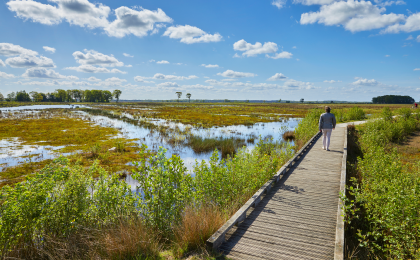 vlonderpad in Drenthe