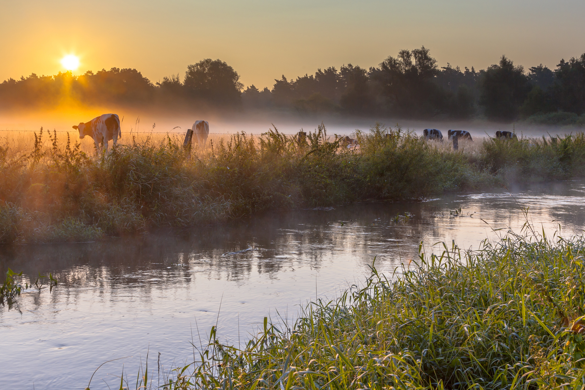 Wandelen langs water Nederland