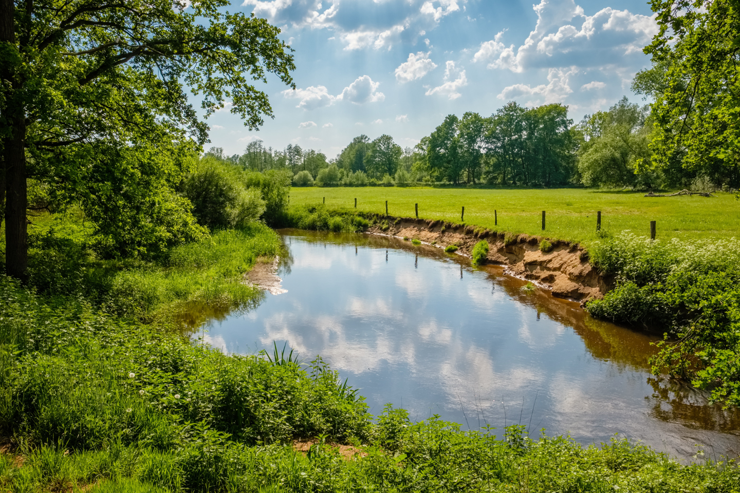 De Twentse Dinkel