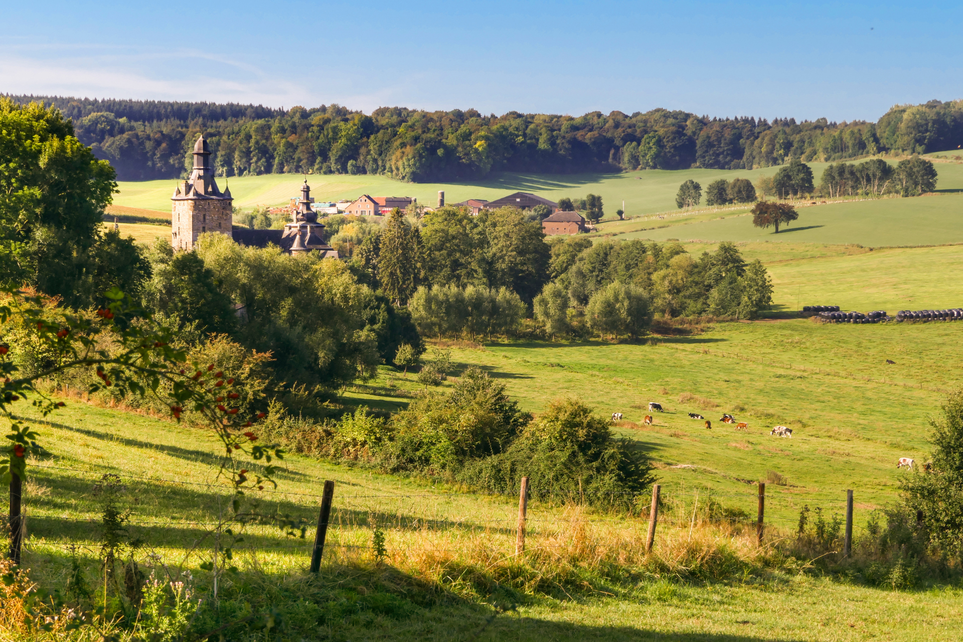 Zuid-Limburgs landschap