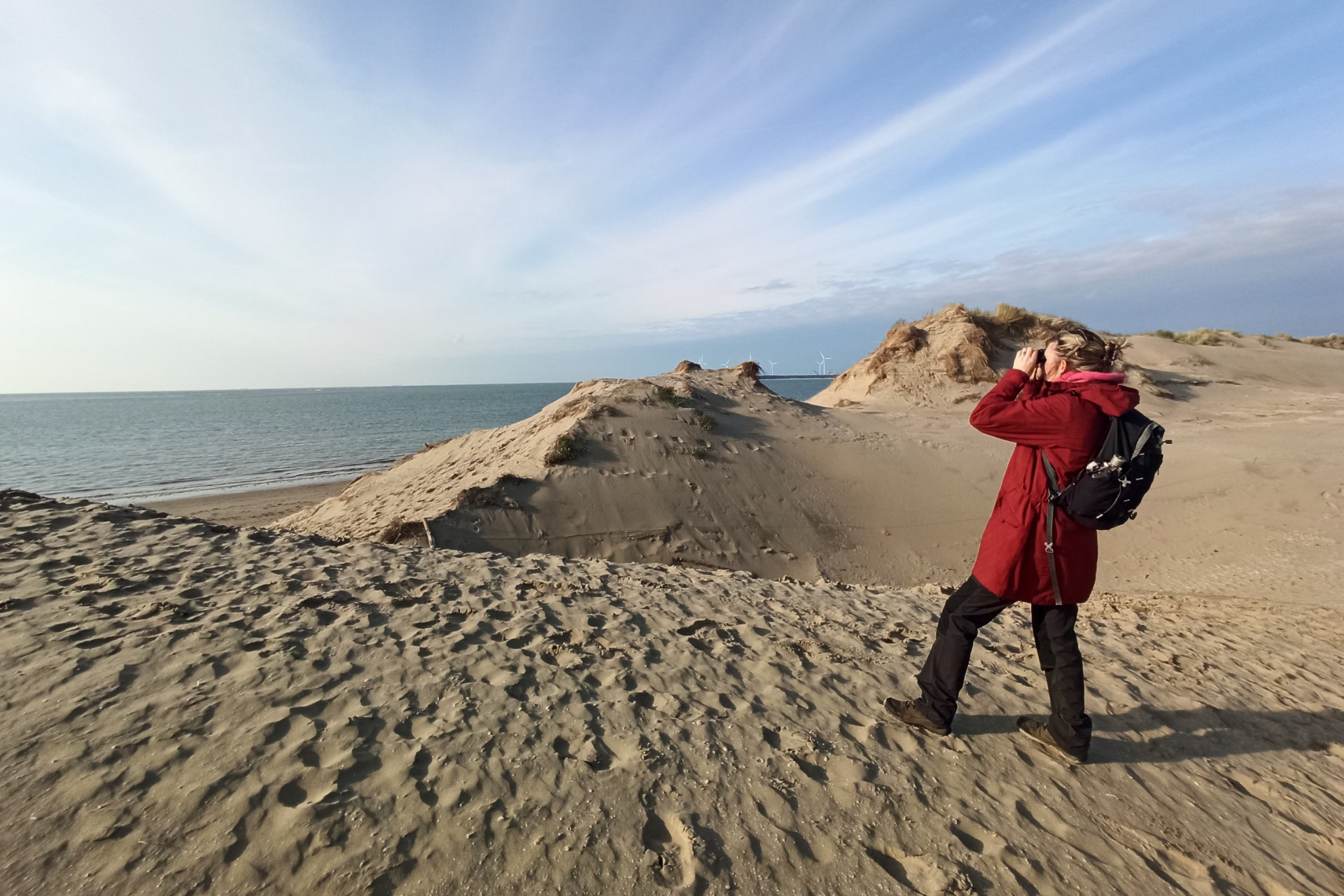 Duinovergang Voorne's Duin