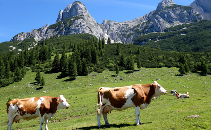 Mooiste wandelroutes Oostenrijk