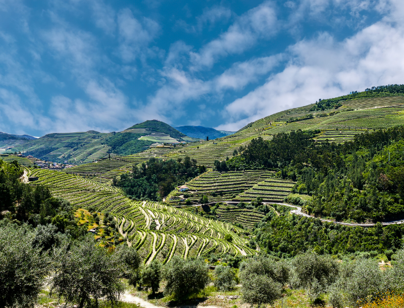 Douro vallei