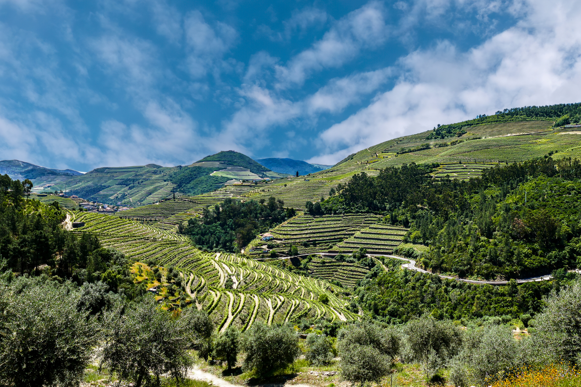 Douro vallei