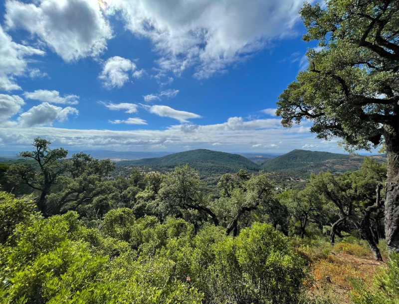 Heuvellandschap in de Sierra de Aracena