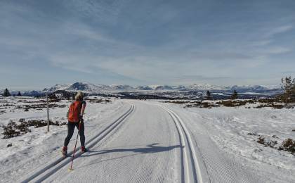Noorwegen - langlaufen Golsfjell