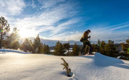 Noorwegen - Jotunheimen individueel