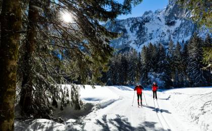 Oostenrijk - Dachstein